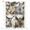 demons, transformation, woman, women, man, ravens, crows, rooks, birds, evil, mystery, wing, wings, Schwarz & Weiß, Dämonen, Verwandlung, Frauen, Mann, Raben, Krähen, Vögel, böse, Geheimnis, Flügel, Blanco y Negro